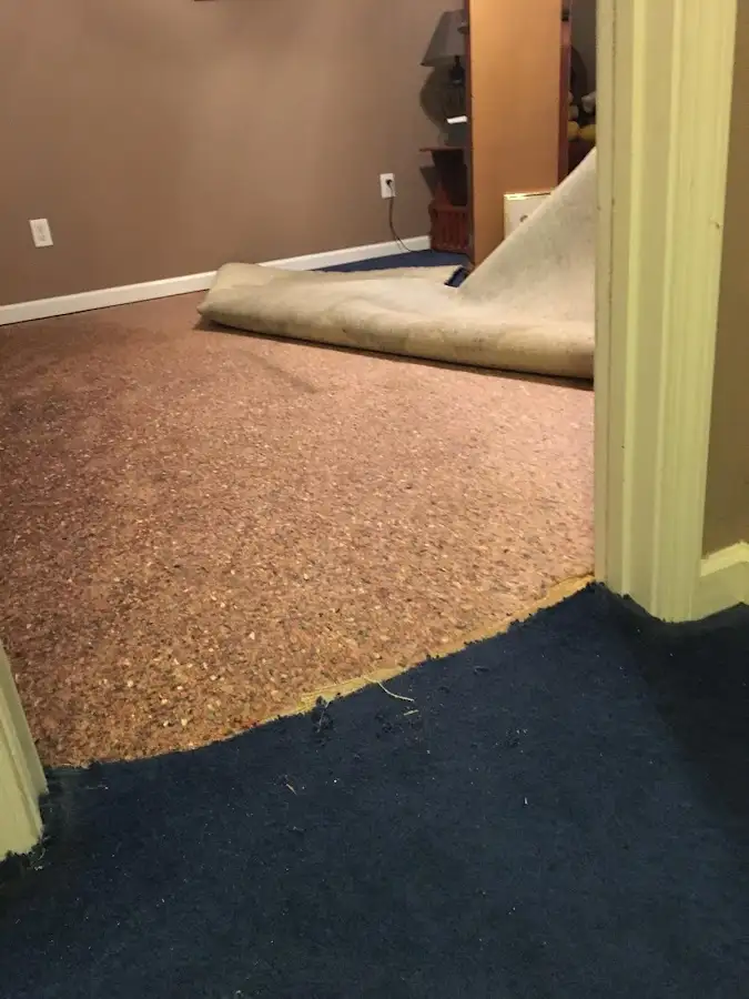 Carpet pad removal revealing water damage during Water Mitigation Services in Bow